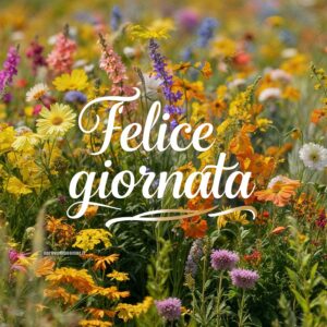 Prato di fiori colorati con la scritta &#039;Felice giornata